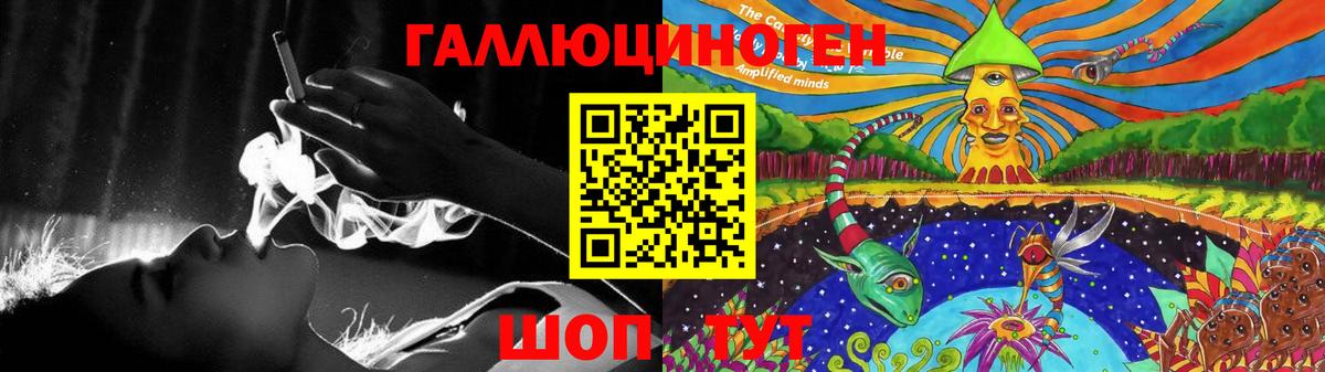 Галлюциногенные грибы GOLDEN TEACHER  Вход с VPN  Майкоп  Галлюциногенные грибы Magic Shrooms 